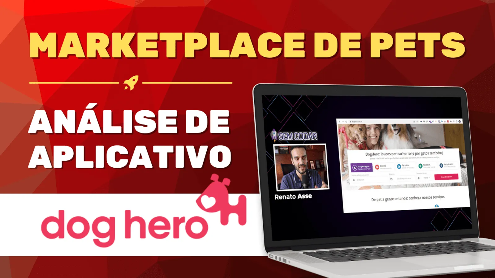 Análise do aplicativo Doghero | Vale a pena criar marketplace?