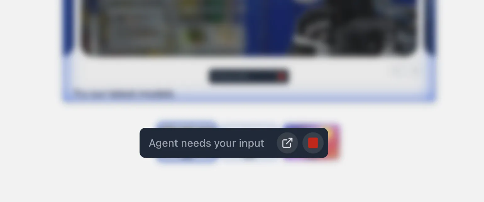 Navegador acessando o site automaticamente